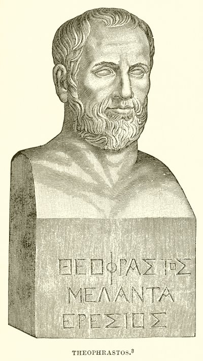 Théophraste - English School