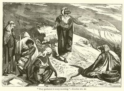 Ils le ramassaient chaque matin, Exode, xvi, 21 - English School