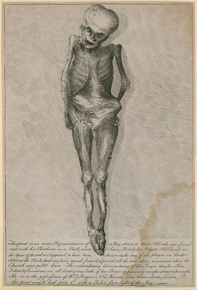 Cette gravure est une représentation exacte d