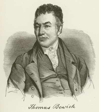 Thomas Bewick - English School