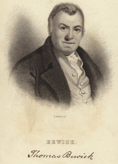 Thomas Bewick - English School