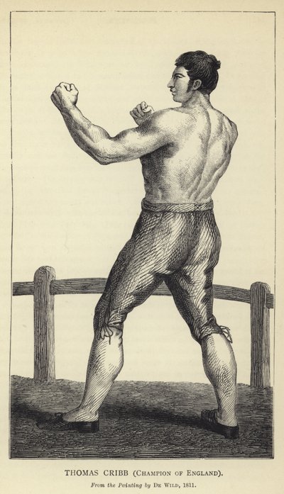 Thomas Cribb, Champion d