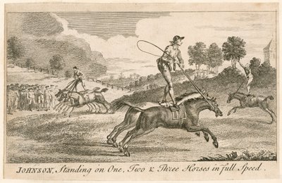 Thomas Johnson debout sur un, deux et trois chevaux à pleine vitesse - English School
