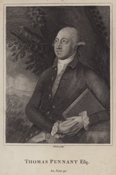 Thomas Pennant, naturaliste et topographe gallois - English School