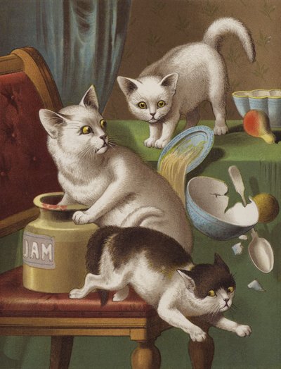 Trois chatons voleurs - English School