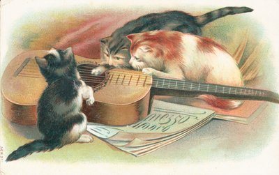 Trois chats jouant avec une guitare acoustique - English School