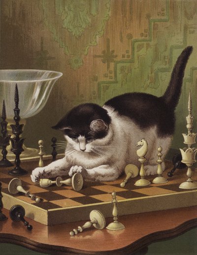 Tib jouant aux échecs - English School