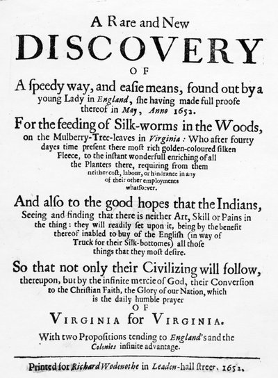 Page de titre de The Reformed Virginian Silk-Worm par Samuel Hartlib, publiée en 1652 - English School