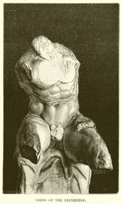 Torso du Belvédère - English School