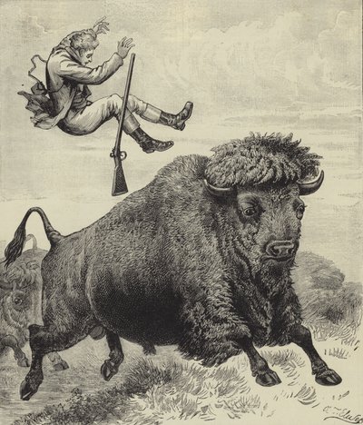 Jeté par un taureau de prairie - English School