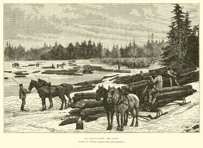 Transport de bois - English School