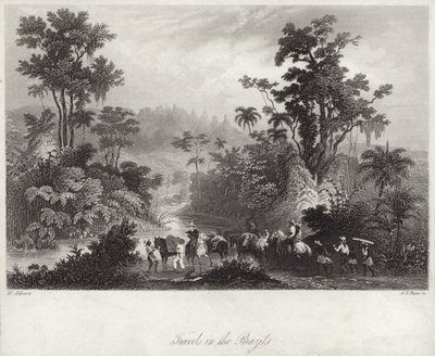 Voyages au Brésil - English School