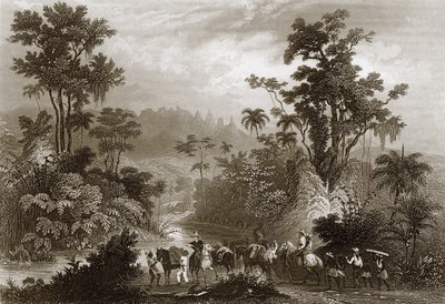 Voyages au Brésil - English School