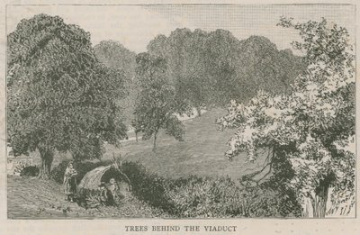 Arbres derrière le viaduc - English School
