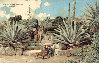 Jardin de l