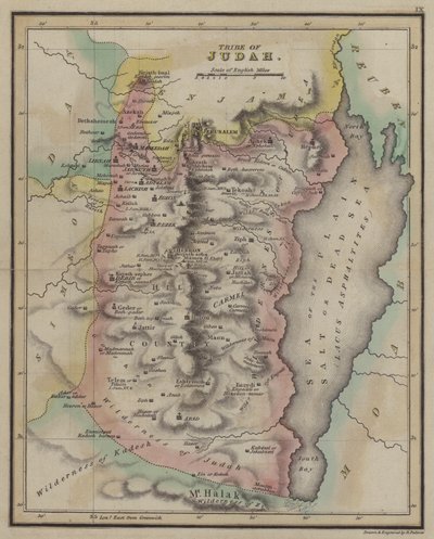 Tribu de Juda (gravure en couleur) - English School