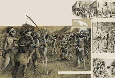 Tribus de Nouvelle-Guinée - English School