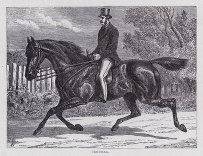 Trot (gravure) - English School