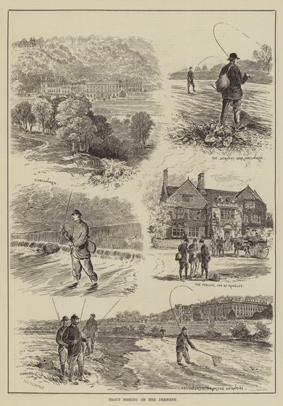 Pêche à la Truite sur la Derwent - English School