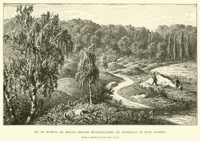 Tumuli ou tombes en monticule (Hügelgräber) à Stanislau en Galicie orientale - English School