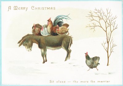 Dinde et poulet assis sur le dos d