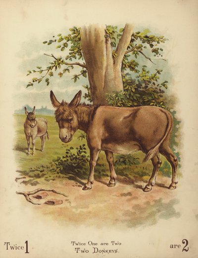 Deux ânes (chromolitho) - English School