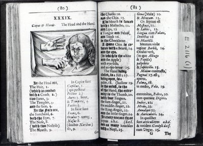 Deux pages de Orbis Sensualium Pictus par Comenius, 1659 - English School