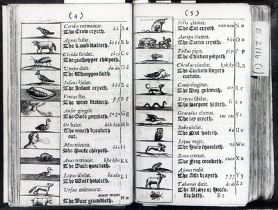 Deux pages de Orbis Sensualium Pictus par Comenius, 1659 - English School