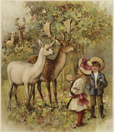 Deux jeunes enfants nourrissant les cerfs dans un parc - English School