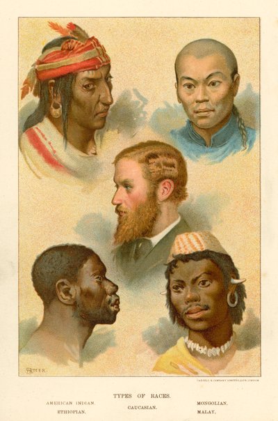 Types de races - English School