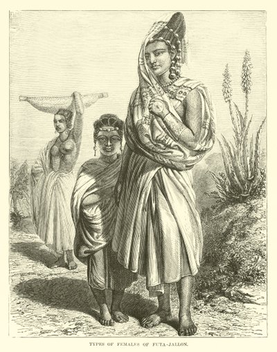 Types de femmes de Futa-Jallon - English School