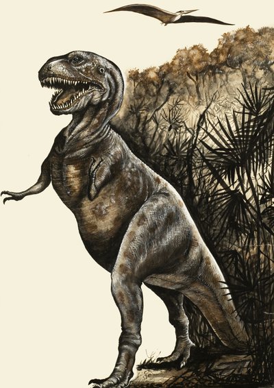 Tyrannosaurus Rex - English School