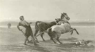 Ulysse labourant le rivage (gravure) - English School