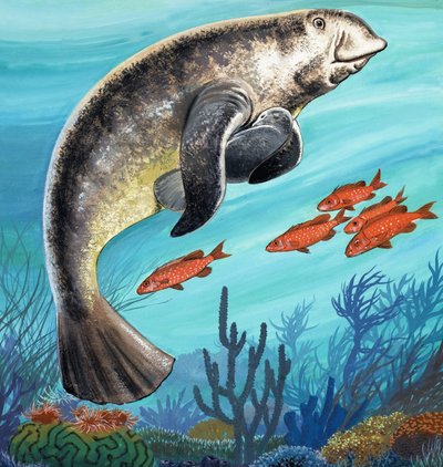 Créatures sous-marines - English School