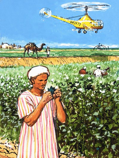 Agriculteur arabe non identifié avec chameau et hélicoptère en arrière-plan - English School