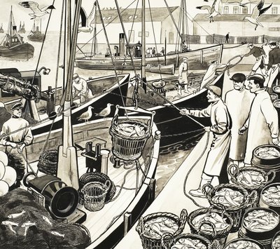 Port de pêche non identifié avec poissons sur le quai - English School