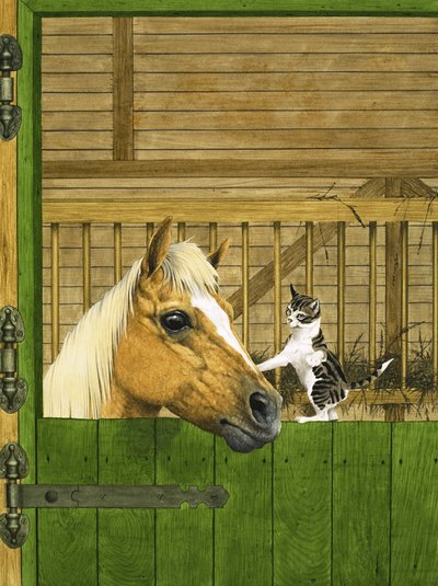 Cheval non identifié et chaton joueur - English School