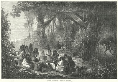 Amazones supérieures - Indiens en train de dîner (gravure) - English School