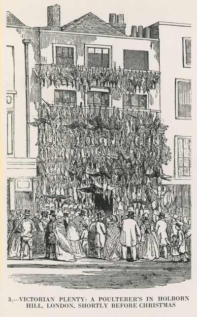 Abondance victorienne - English School