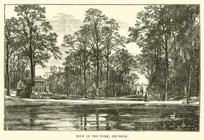 Vue dans le parc, Bruxelles - English School