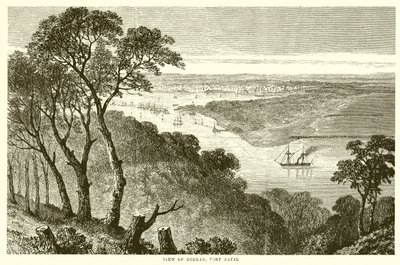 Vue de Durban, Port Natal - English School