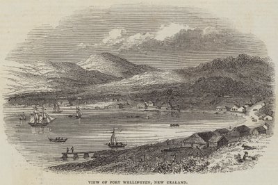 Vue de Port Wellington, Nouvelle-Zélande (gravure) - English School