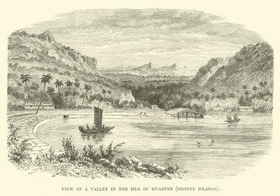 Vue d