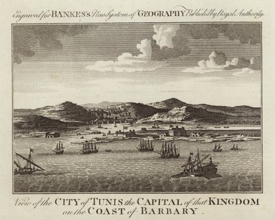 Vue de la ville de Tunis - English School