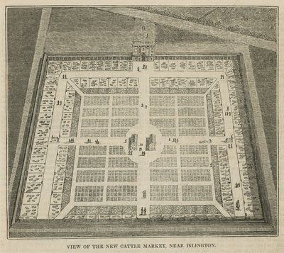 Vue du nouveau marché aux bestiaux près d
