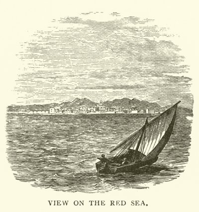Vue sur la mer Rouge - English School