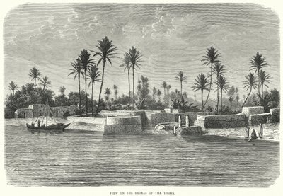 Vue sur les rives du Tigre (gravure) - English School