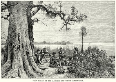Vue prise au confluent du Zambèse et du Chobe (gravure) - English School