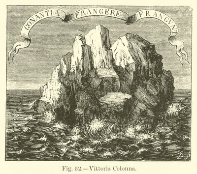Vittoria Colonna - English School
