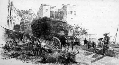 Wagons avec de l